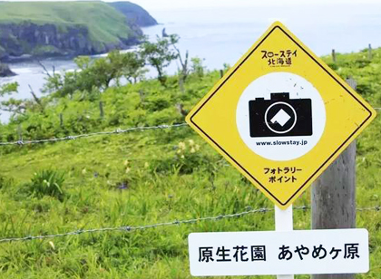 旅游景區(qū)標(biāo)識(shí)導(dǎo)視系統(tǒng)如何充分體現(xiàn)細(xì)節(jié)？看看日本設(shè)計(jì)師怎么做！